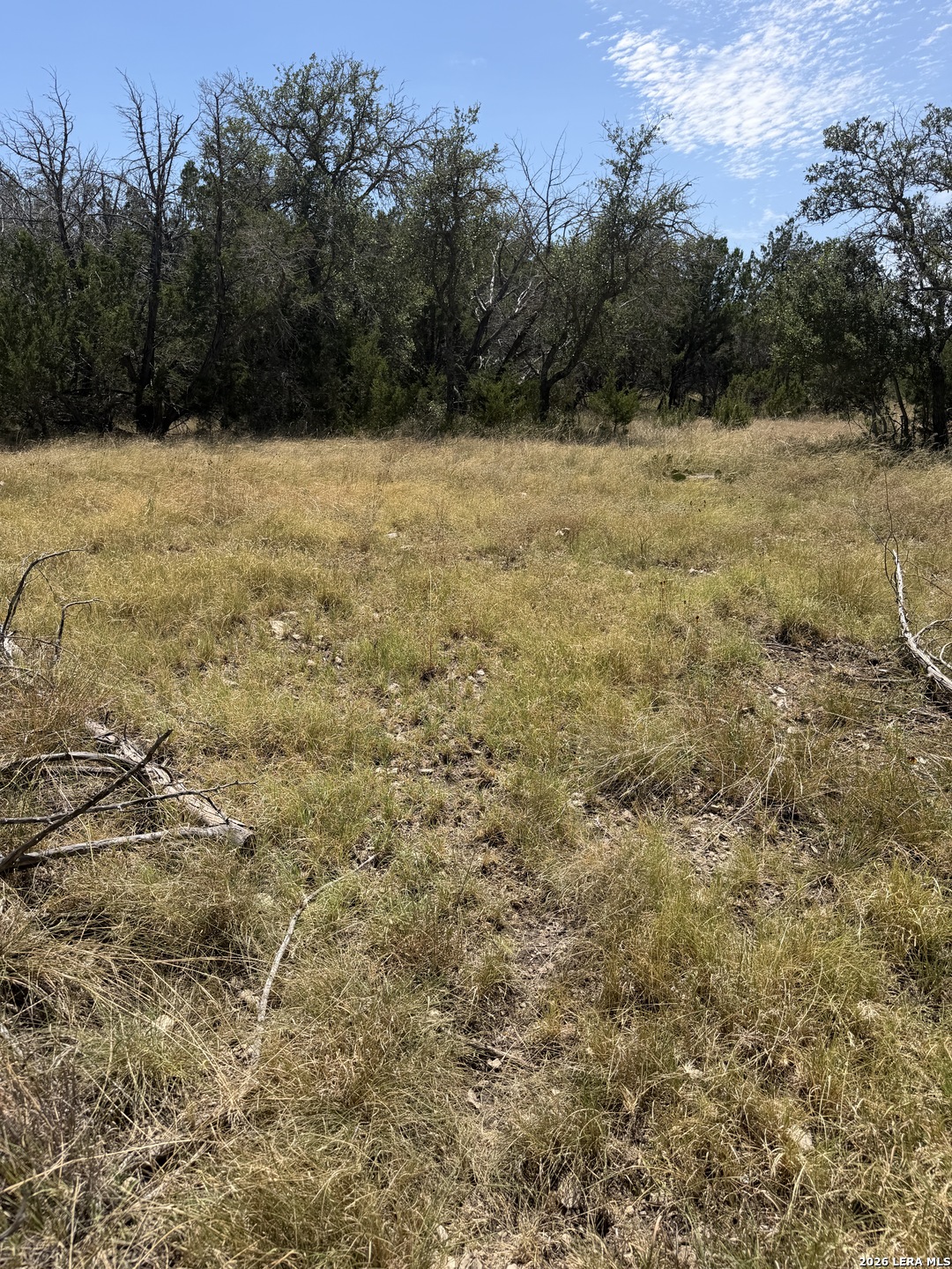 74100 SD 74100 Rocksprings, TX 78880 - Photo 24 of 28 Gallery Image 24