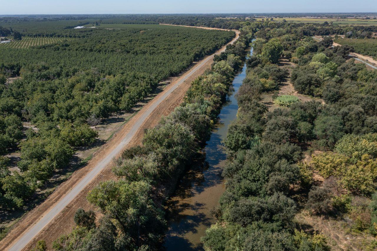 3302 Bear River Drive Rio Oso, CA 95674 - Photo 1 of 50 a view of a forest with a forest