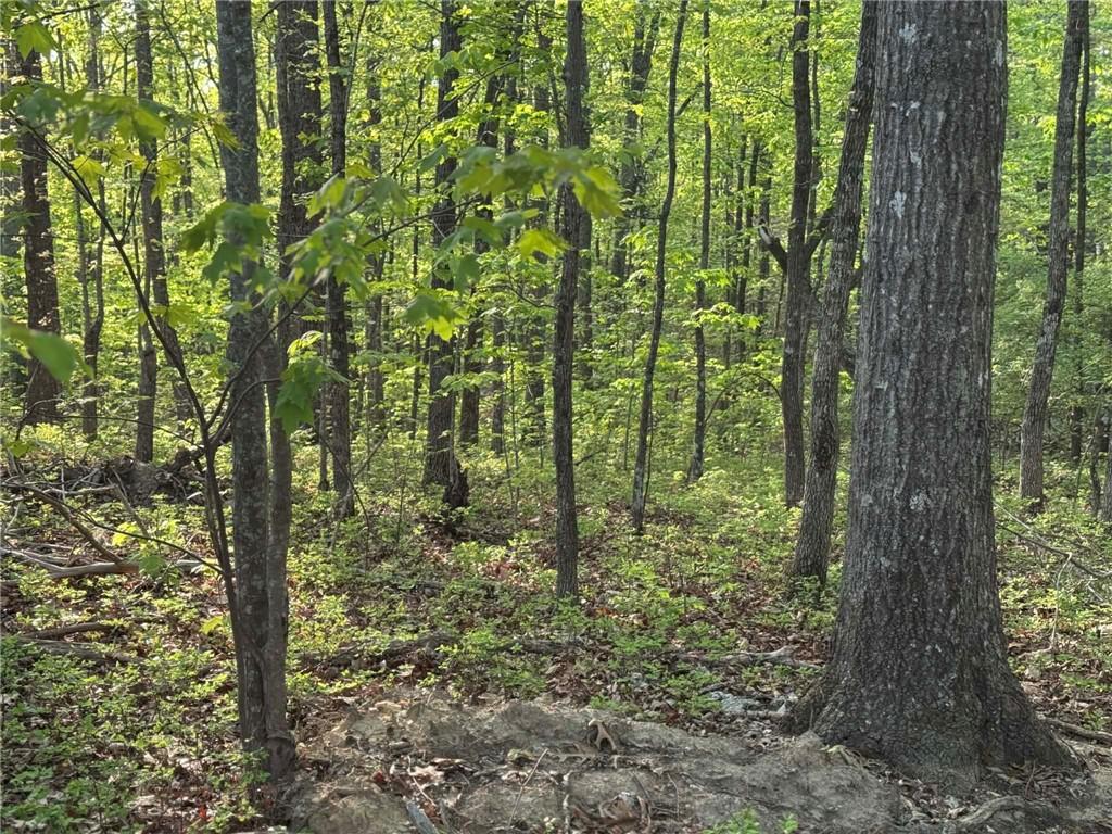 1440 Hanna Drive Ranger, GA 30734 - Photo 3 of 10 Gallery Image 3