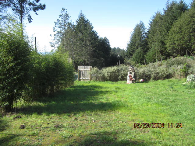 209 Spring Road Shelter Cove, CA 95589 - Photo 9 of 27 IMG_4466