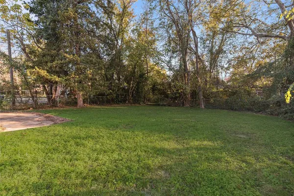 a view of a trees with a big yard