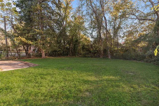a view of a trees with a big yard