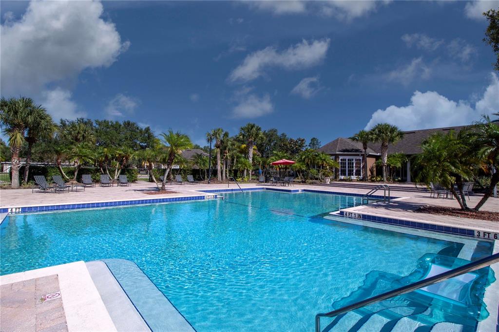 8932 Manor Loop, Unit 104 Lakewood Ranch, FL 34202 - Photo 31 of 35 a view of a swimming pool with a garden