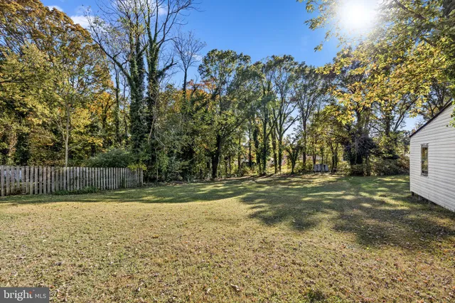 a view of a yard with large trees