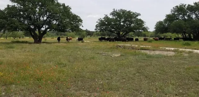 $129,900 | Lot 43 Pecan Valley Drive, Gustine, TX 76455