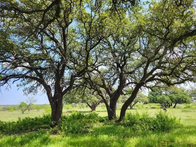 $129,900 | Lot 43 Pecan Valley Drive, Gustine, TX 76455