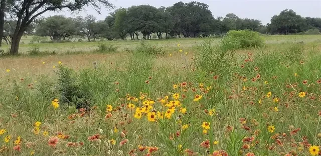 $129,900 | Lot 43 Pecan Valley Drive, Gustine, TX 76455