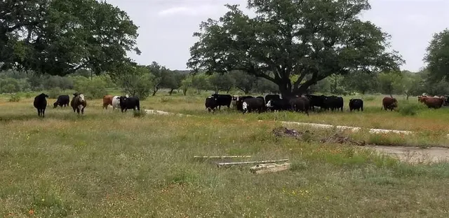 $129,900 | Lot 43 Pecan Valley Drive, Gustine, TX 76455