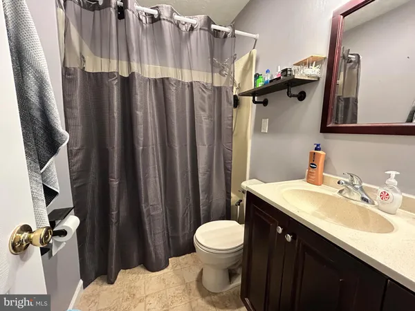 a bathroom with a sink a toilet a mirror and shower curtain