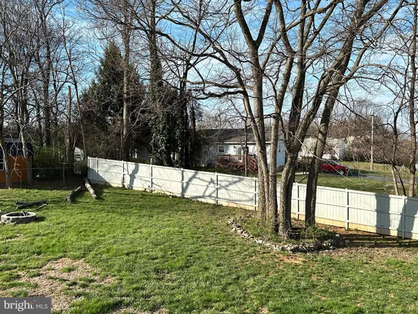 a view of a yard with a tree
