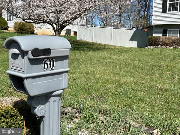 a view of a back yard