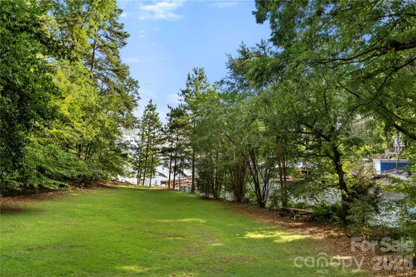 a view of a trees with a yard