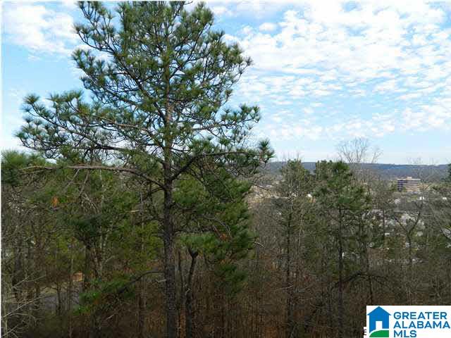 3047 Eagle Ridge Lane Birmingham, AL 35242 - Photo 23 of 27