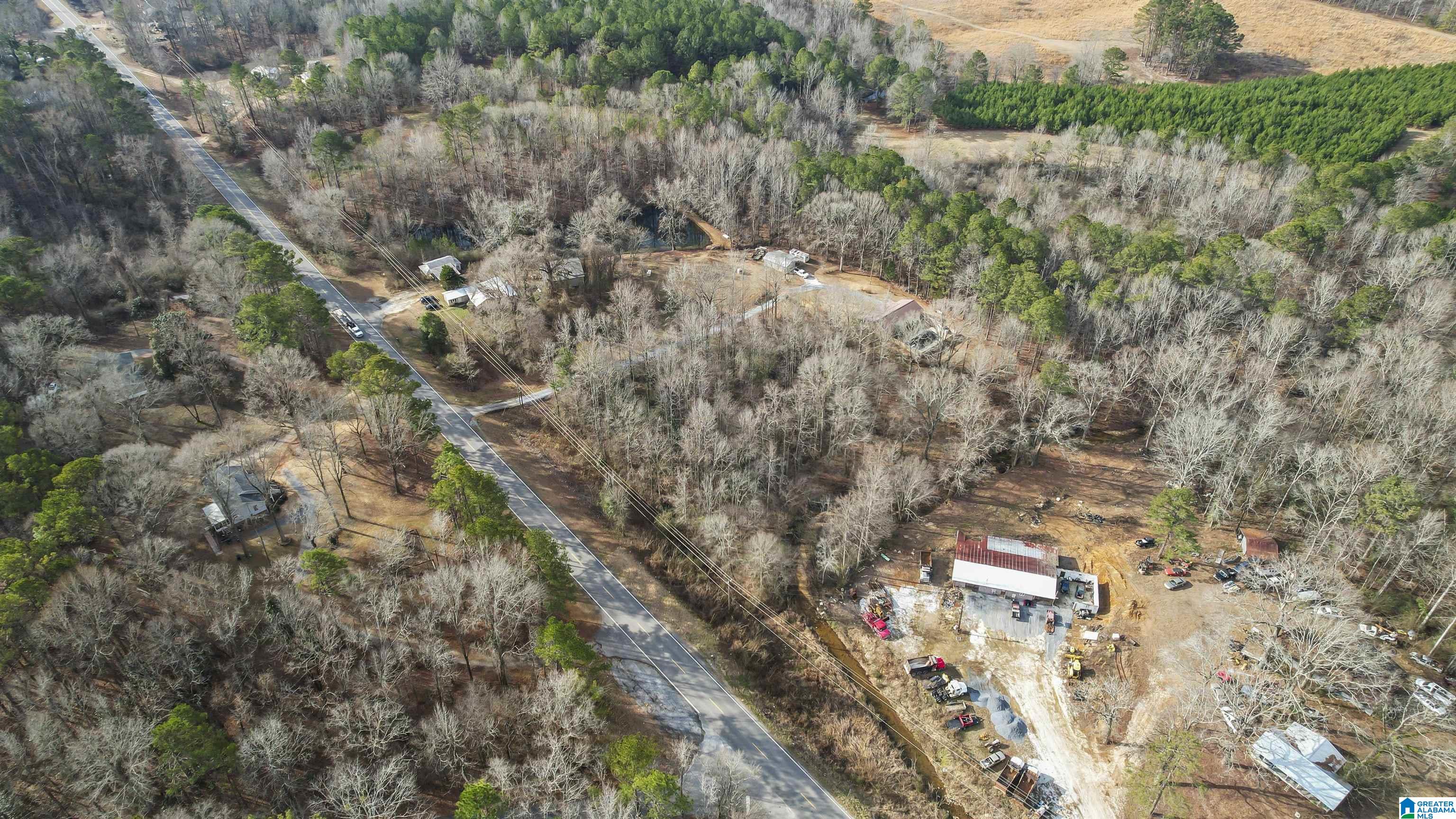 25331 Highway 231 Sylacauga, AL 35151 - Photo 18 of 40