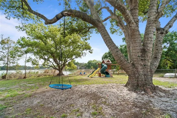 a view of a yard with a tree