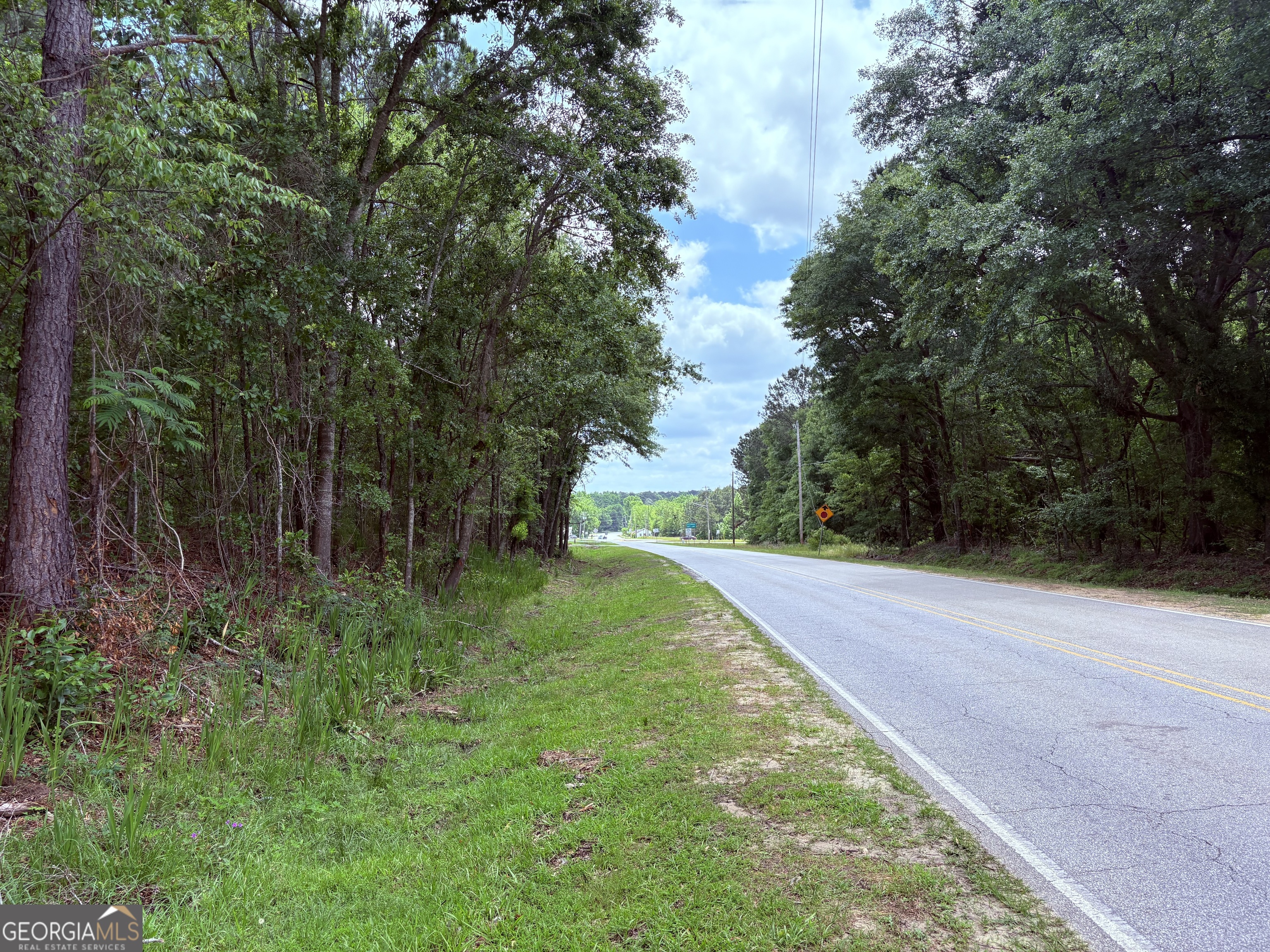 850 Buttermilk Road Sylvania, GA 30467 - Photo 11 of 11 a view of a yard with plants and trees