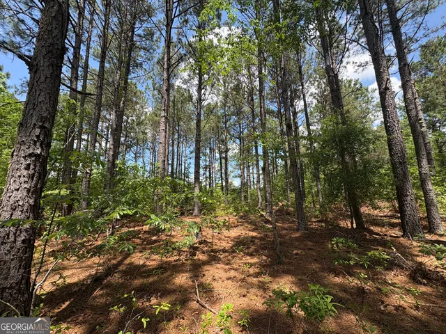 a view of outdoor space and green space