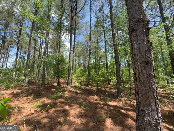 850 Buttermilk Road Sylvania, GA 30467 - Photo 7 of 11 a view of outdoor space and green space