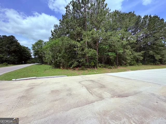 a view of a yard with plants and trees
