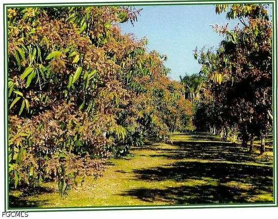 $1,000 | Undisclosed Address, Bokeelia, FL 33922