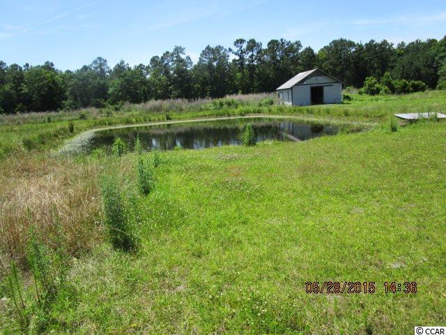 1205 Murrell Road Awendaw, SC 29429 - Photo 19 of 25 Gallery Image 19