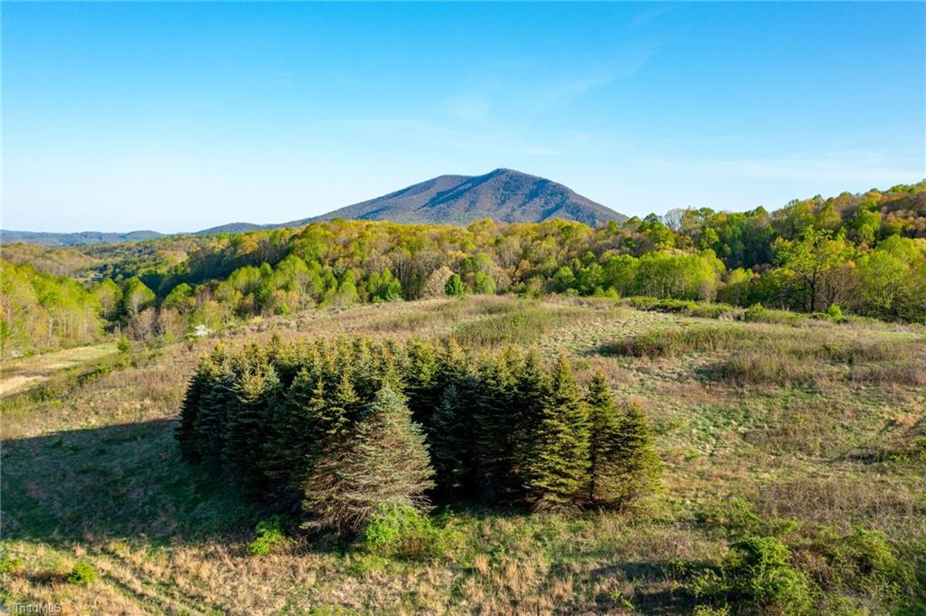 Tbd Ashe Park Road Jefferson, NC 28640 - Photo 11 of 29