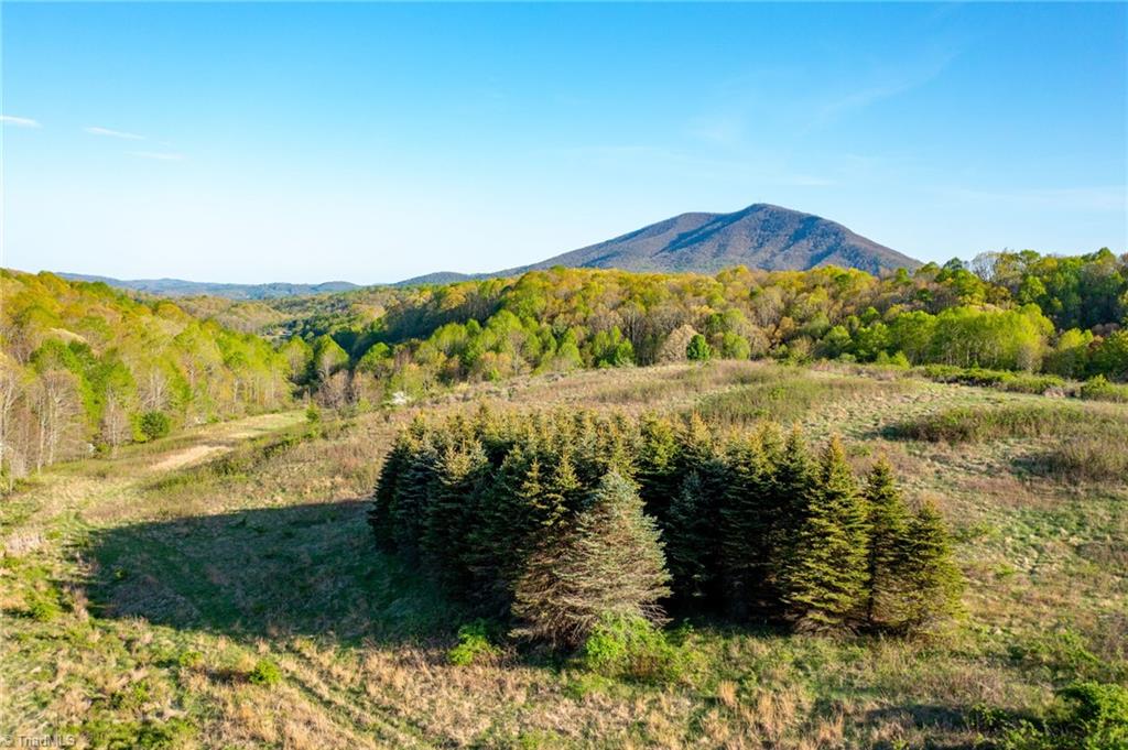 Tbd Ashe Park Road Jefferson, NC 28640 - Photo 13 of 29