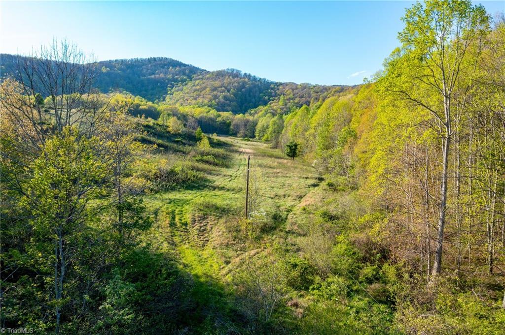 Tbd Ashe Park Road Jefferson, NC 28640 - Photo 14 of 29