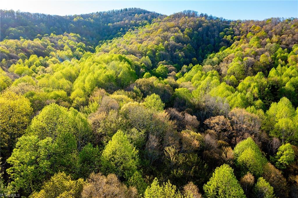 Tbd Ashe Park Road Jefferson, NC 28640 - Photo 16 of 29