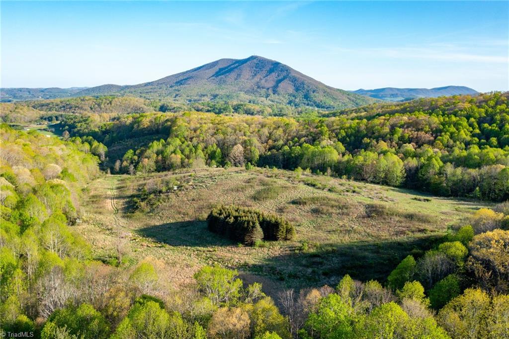 Tbd Ashe Park Road Jefferson, NC 28640 - Photo 18 of 29
