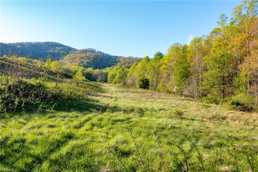 Tbd Ashe Park Road Jefferson, NC 28640 - Photo 20 of 29