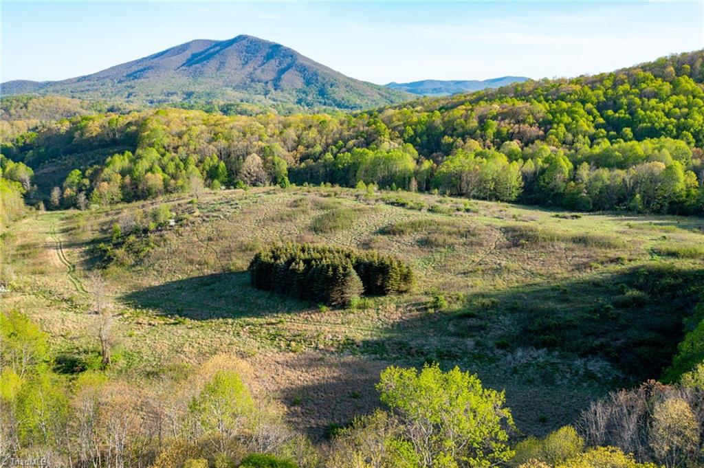 Tbd Ashe Park Road Jefferson, NC 28640 - Photo 2 of 29