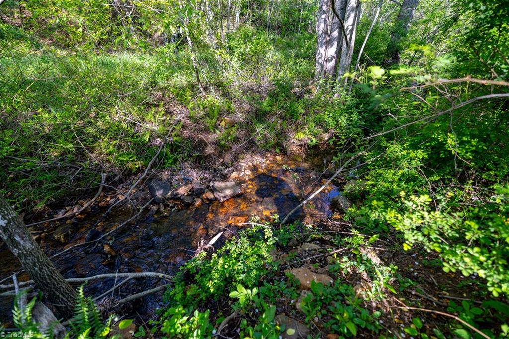 Tbd Ashe Park Road Jefferson, NC 28640 - Photo 21 of 29