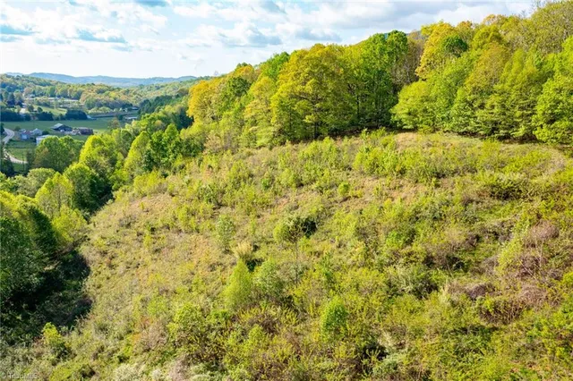 $2,627,160 | Tbd Ashe Park Road, Jefferson, NC 28640