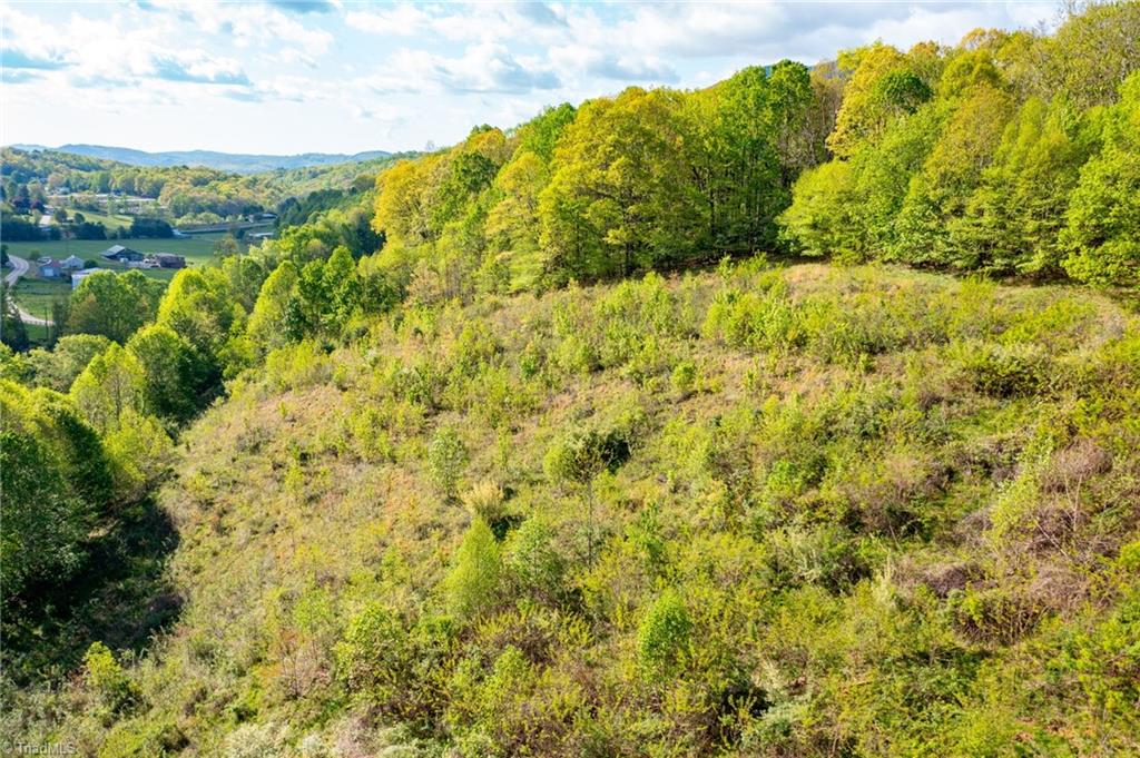 Tbd Ashe Park Road Jefferson, NC 28640 - Photo 24 of 29