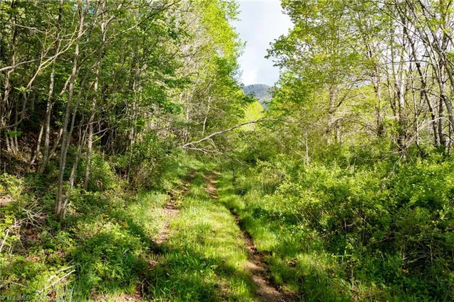 $2,627,160 | Tbd Ashe Park Road, Jefferson, NC 28640