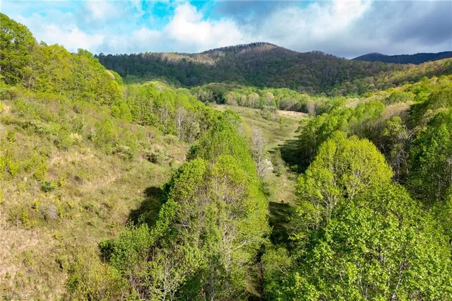 $2,627,160 | Tbd Ashe Park Road, Jefferson, NC 28640