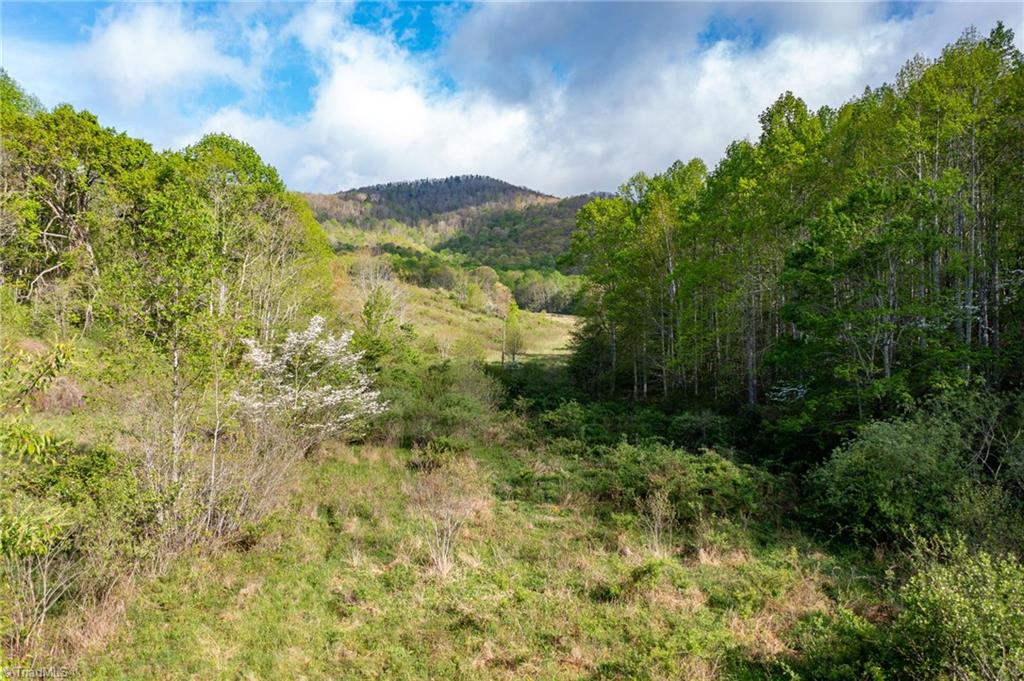 Tbd Ashe Park Road Jefferson, NC 28640 - Photo 29 of 29