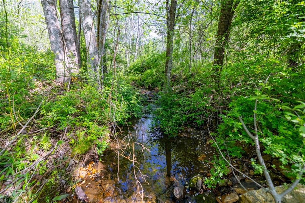 Tbd Ashe Park Road Jefferson, NC 28640 - Photo 4 of 29