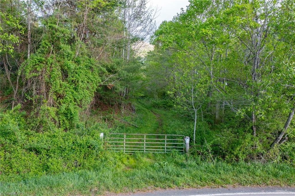 Tbd Ashe Park Road Jefferson, NC 28640 - Photo 6 of 29