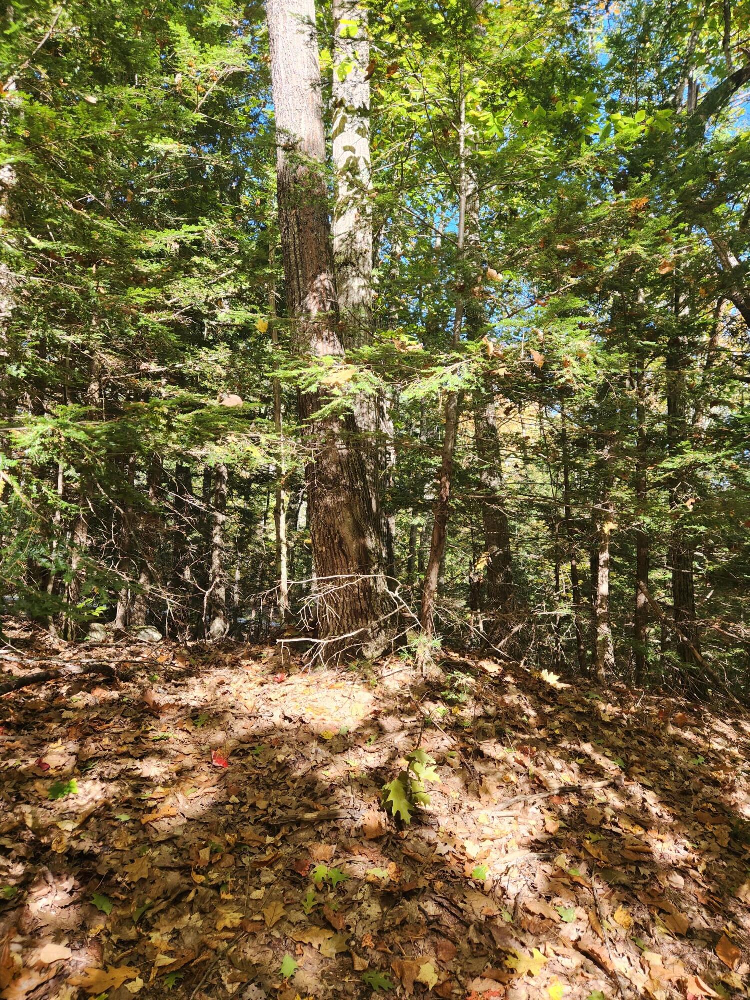 14 D Thomas Hill Road Norway, ME 04268 - Photo 5 of 32 20251002_103203