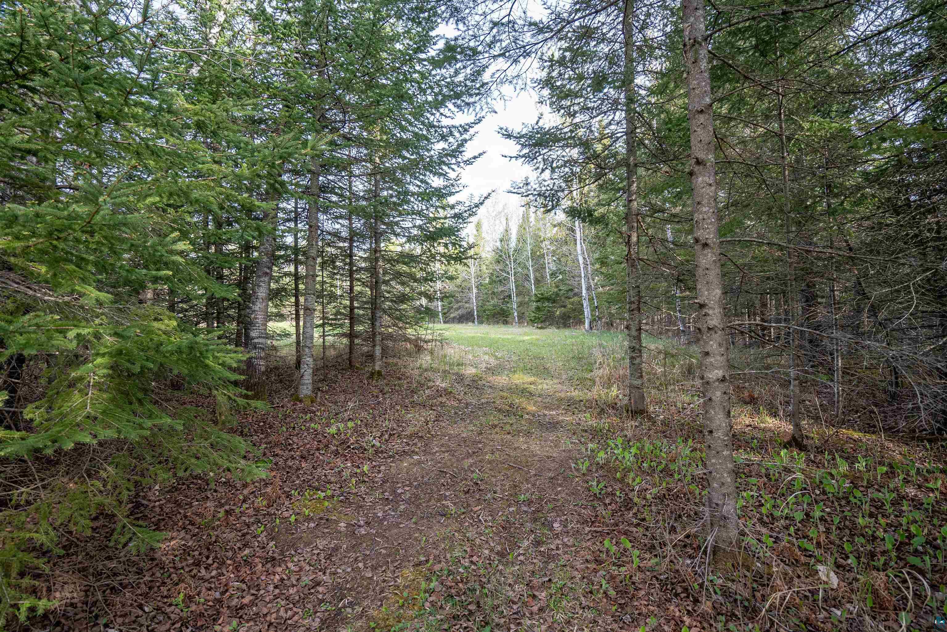 296 South Amnicon River Road South Range, WI 54874 - Photo 23 of 26