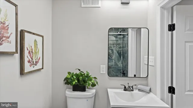 a bathroom with a sink mirror and vanity