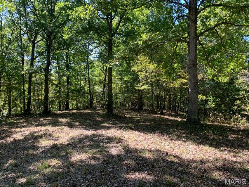 Tbd Branch Road Fulton, MO 65251 - Photo 2 of 10
