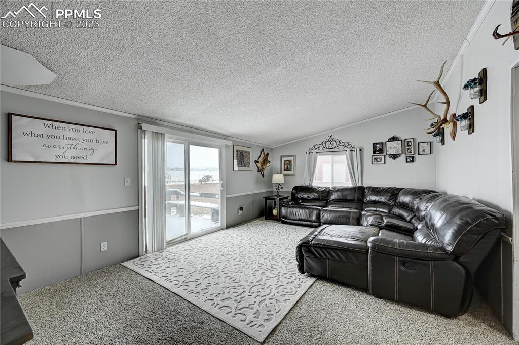 237 9th Street Penrose, CO 81240 - Photo 11 of 24 a living room with furniture and a rug