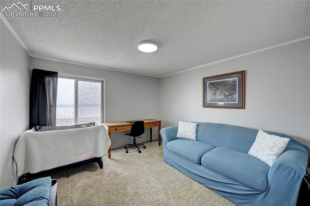 237 9th Street Penrose, CO 81240 - Photo 20 of 24 a living room with furniture and a window