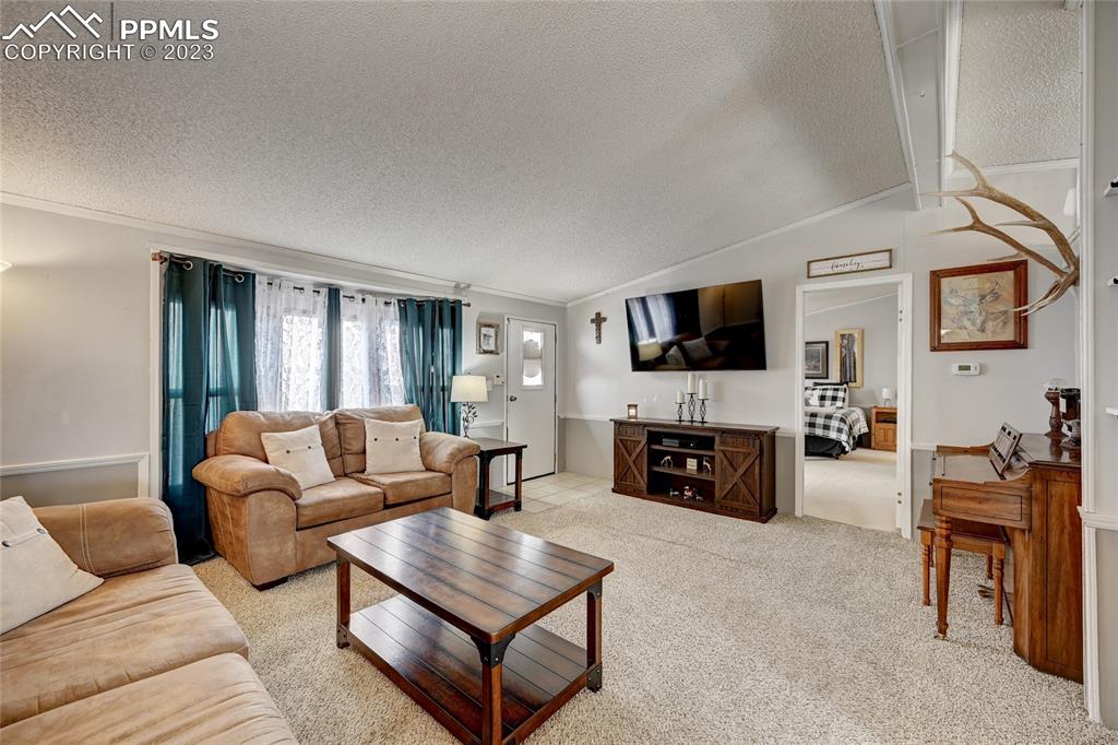 237 9th Street Penrose, CO 81240 - Photo 5 of 24 a living room with furniture a fireplace and a flat screen tv