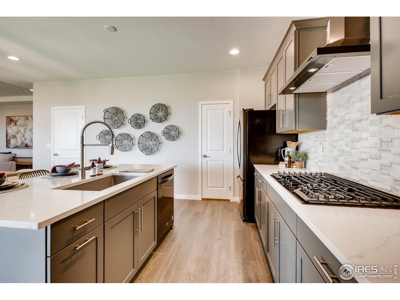 2904 Buffalo Fork Lane Longmont, CO 80503 - Photo 15 of 28