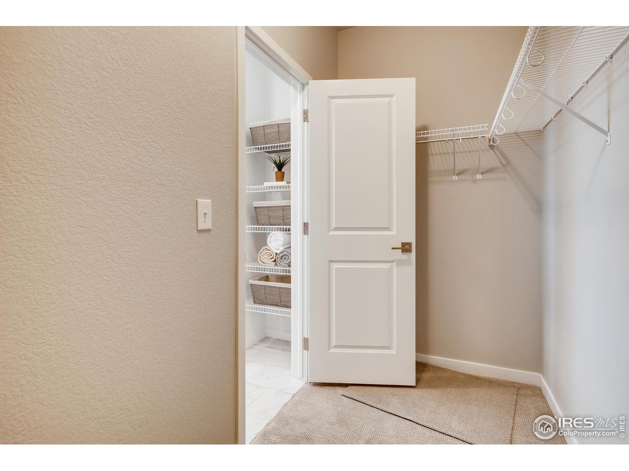 2904 Buffalo Fork Lane Longmont, CO 80503 - Photo 16 of 28