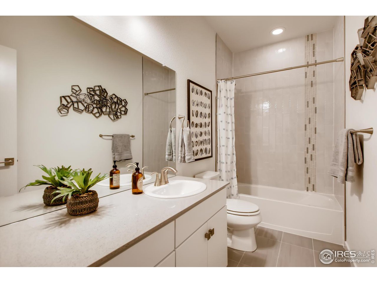 2904 Buffalo Fork Lane Longmont, CO 80503 - Photo 20 of 28